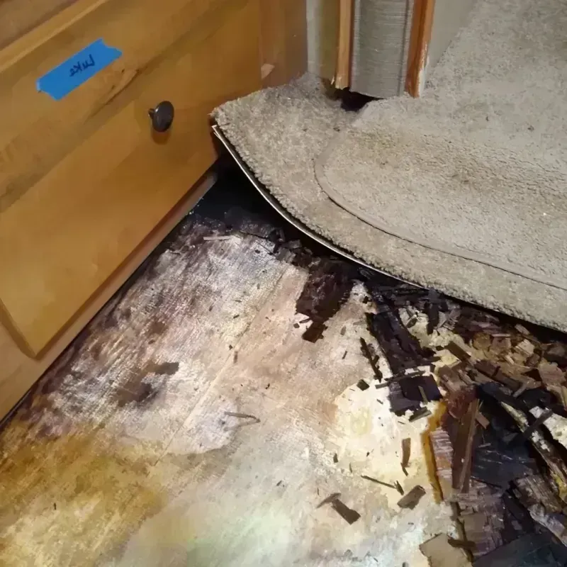 Best Wood Floor Water Damage Service in Coral Terrace, FL